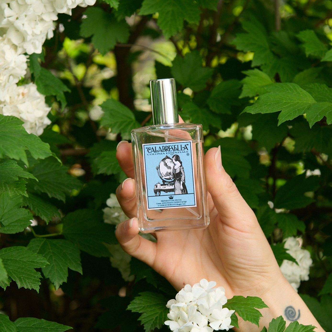 Calabresella Blu Cologne Water